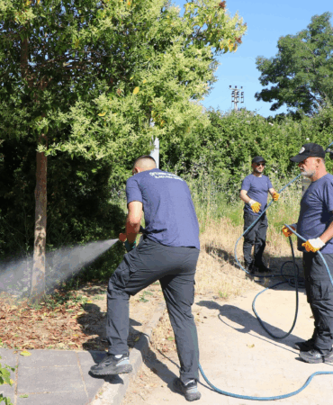 Çiftlikköy’de Keneye Karşı Önleyici İlaçlama Başlatıldı
