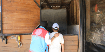 Yalova’da Karne Hediyesi Doğayla Buluşma Oldu: SYDV ve SEVKADER'den Çocuklara Renkli Etkinlik