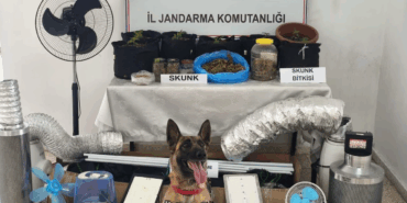 Yalova’da Skunk Operasyonu: Evde İklimlendirme Sistemiyle Uyuşturucu Üretimi Yapan Şüpheli Yakalandı