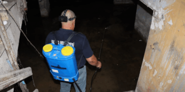 Yalova Belediyesi'nden Sinek ve Haşerelere Karşı Kararlı Mücadele