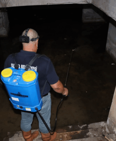 Yalova Belediyesi'nden Sinek ve Haşerelere Karşı Kararlı Mücadele