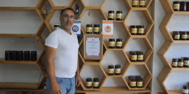 YALOVA'DA KESTANE BALI SEZONU BAŞLADI: 2025 HEDEFİ 500 TON