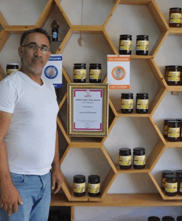 YALOVA'DA KESTANE BALI SEZONU BAŞLADI: 2025 HEDEFİ 500 TON