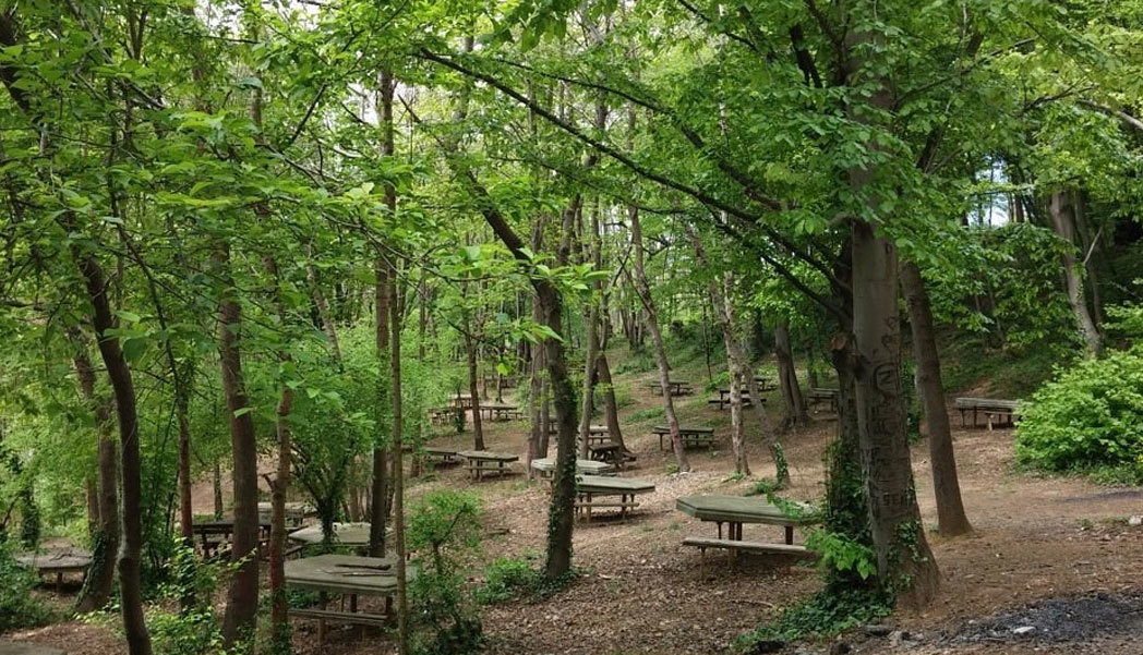 Yalova'da Yeşil Turizme Yeni Nefes: Dört Yeni Mesire Alanı Hizmete Giriyor