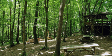 Yalova'da Yeşil Turizme Yeni Nefes: Dört Yeni Mesire Alanı Hizmete Giriyor