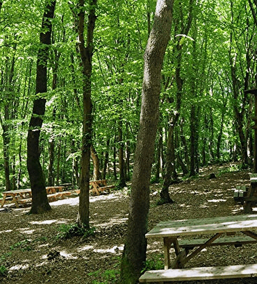 Yalova'da Yeşil Turizme Yeni Nefes: Dört Yeni Mesire Alanı Hizmete Giriyor