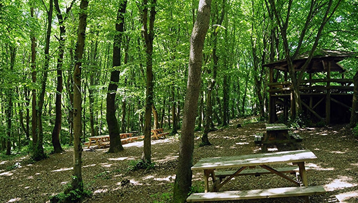 Yalova'da Yeşil Turizme Yeni Nefes: Dört Yeni Mesire Alanı Hizmete Giriyor
