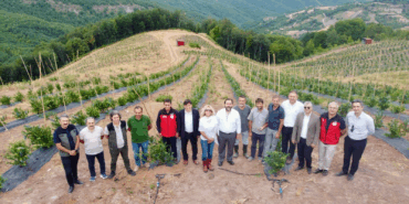 Yalova’da Mavi Yemiş Hasadı Başladı: Tarımsal Üretimde Kurumlar El Ele Verdi