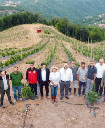Yalova’da Mavi Yemiş Hasadı Başladı: Tarımsal Üretimde Kurumlar El Ele Verdi