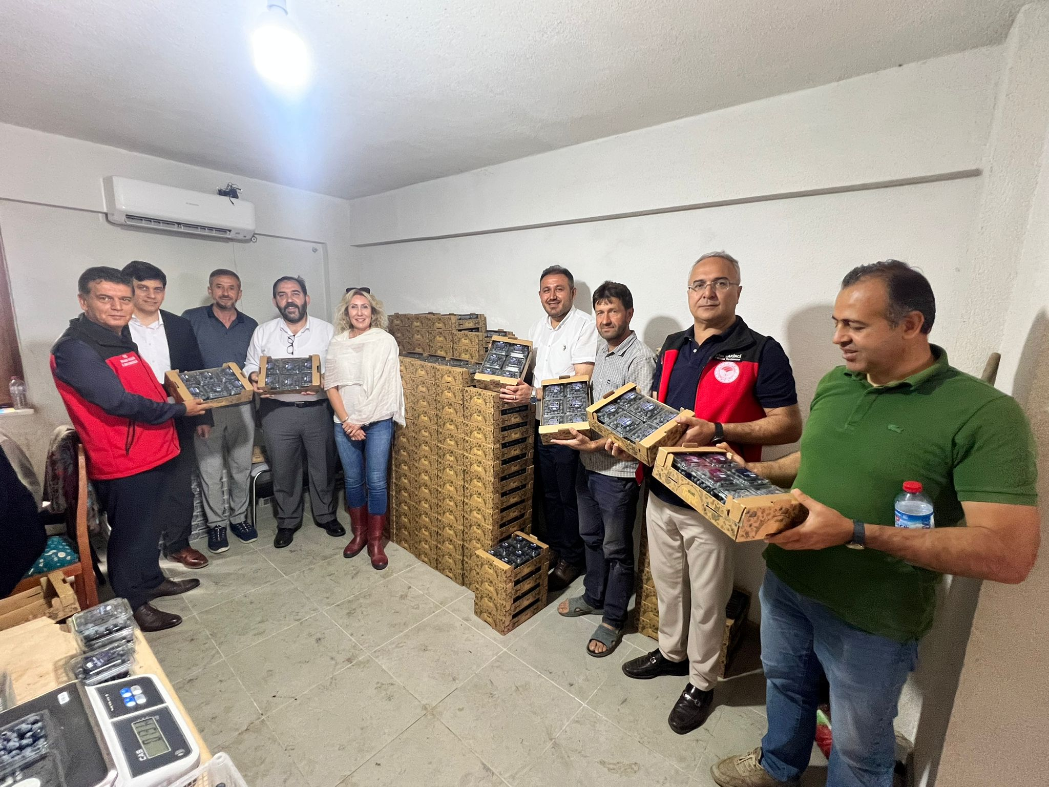 Yalova’da Mavi Yemiş Hasadı Başladı: Tarımsal Üretimde Kurumlar El Ele Verdi