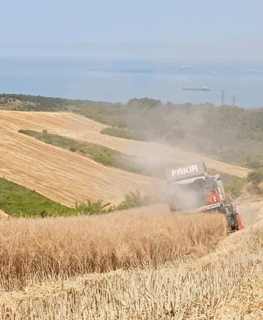 Yalova’da Biçerdöver Denetimleri Sıkılaştırıldı: Ürün Kayıplarının Önüne Geçiliyor