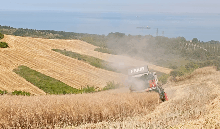 Yalova’da Biçerdöver Denetimleri Sıkılaştırıldı: Ürün Kayıplarının Önüne Geçiliyor