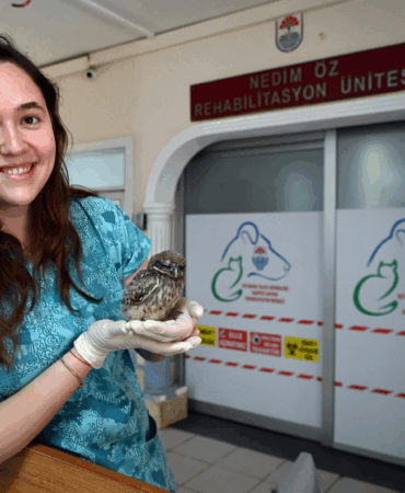 ‘ALİŞ’ İSİMLİ YAVRU BAYKUŞ KISA SÜREDE BİRİMİN MASKOTU OLDU