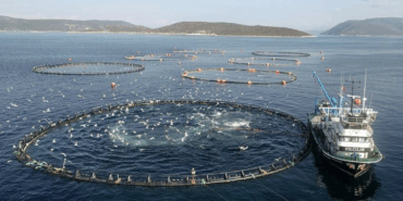 TARIMDA SU ÜRÜNLERİ SERGİLENECEK