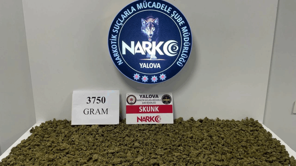 Yalova’da Uyuşturucu Operasyonu: 3 Kilo 750 Gram Skunk Ele Geçirildi