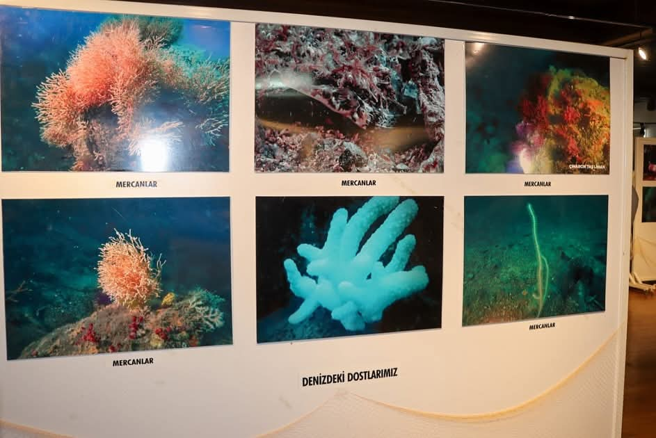 Yalova’da “Tarımda Su Ürünleri” Fotoğraf Sergisi Açıldı
