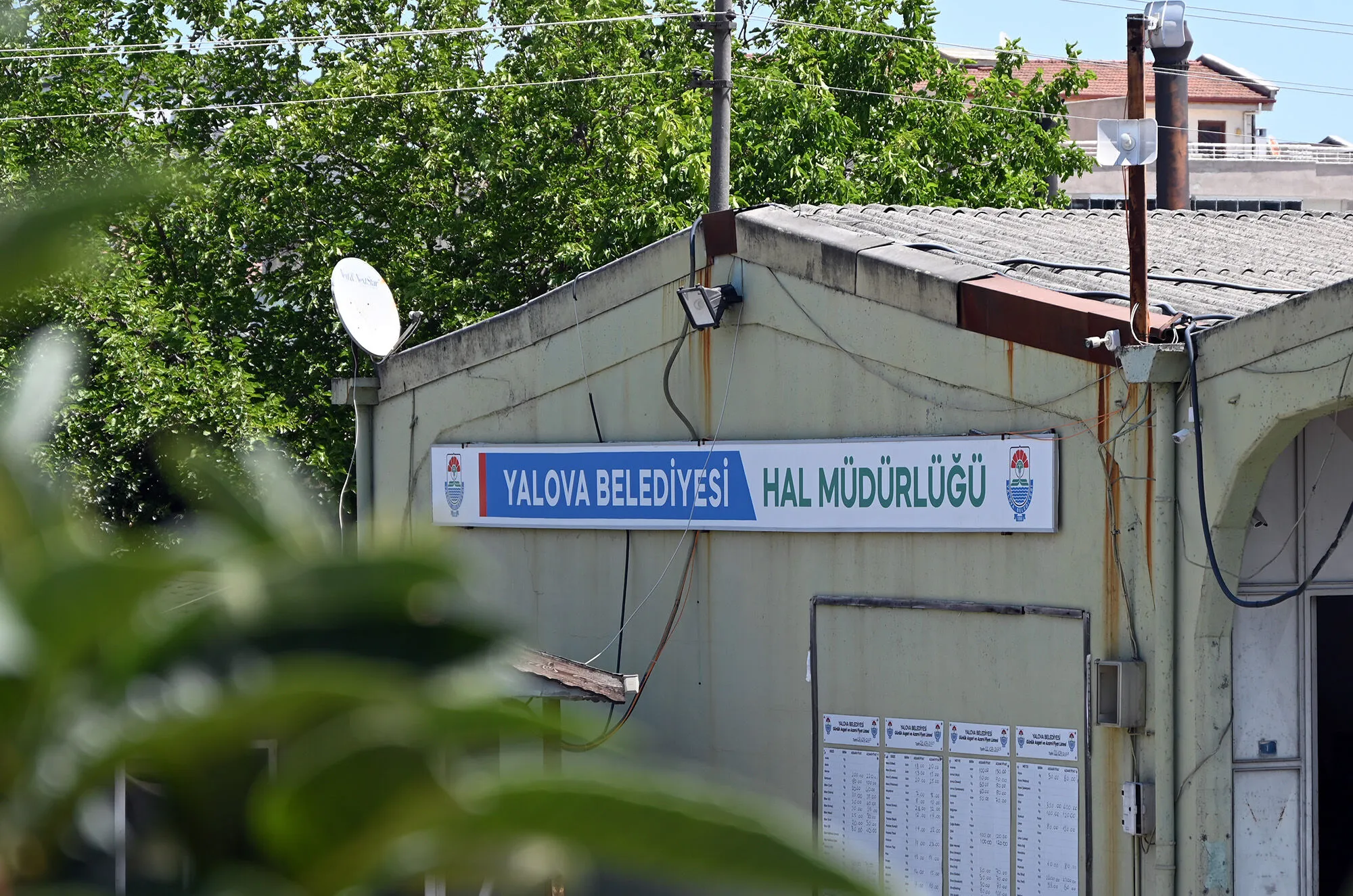 Yazın Favorisi Karpuz Oldu