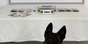 YALOVA'DA UYUŞTURUCU OPERASYONU: 193 GRAM BONZAİ VE 6 GRAM AMFETAMİN ELE GEÇİRİLDİ
