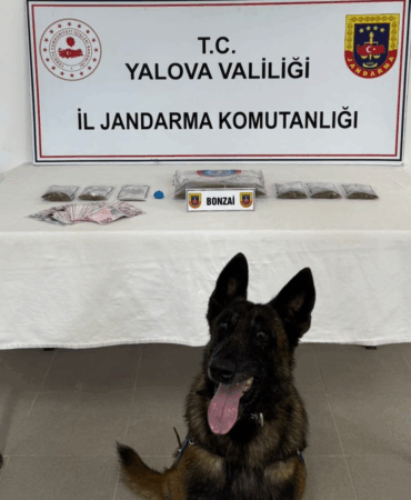 YALOVA'DA UYUŞTURUCU OPERASYONU: 193 GRAM BONZAİ VE 6 GRAM AMFETAMİN ELE GEÇİRİLDİ