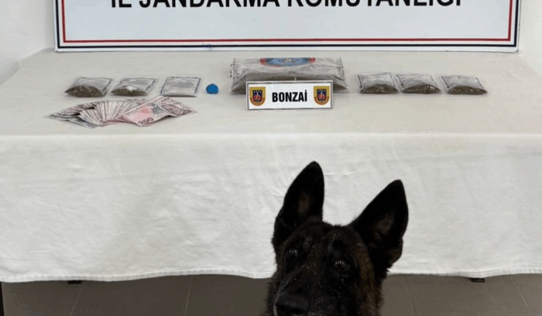 YALOVA'DA UYUŞTURUCU OPERASYONU: 193 GRAM BONZAİ VE 6 GRAM AMFETAMİN ELE GEÇİRİLDİ