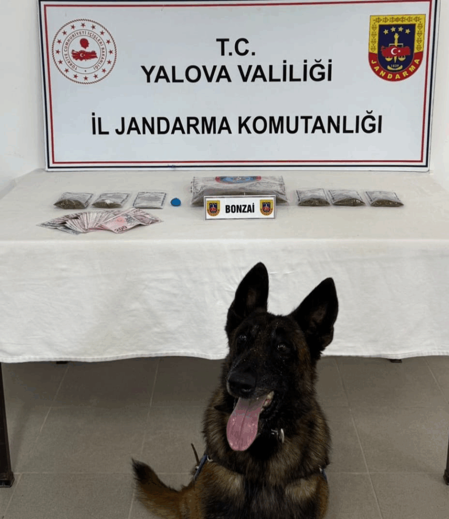 YALOVA'DA UYUŞTURUCU OPERASYONU: 193 GRAM BONZAİ VE 6 GRAM AMFETAMİN ELE GEÇİRİLDİ
