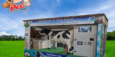 "Akıllı İnek"ten Süt Dağıtımına Yenilikçi Dokunuş: Türkiye Genelinde Otomat Atılımı