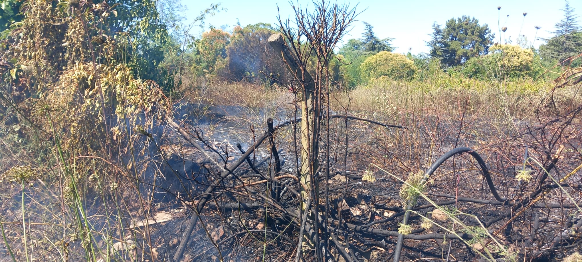 Çiftlikköy Belediyesi İtfaiyesi’nin Hızlı Müdahalesi Felaketi Önledi
