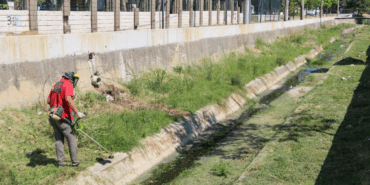 BALABAN DERESİ ÇEVRESİNDE YABANİ OT