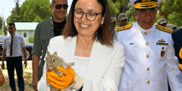 Yalova’da 300 Keklik Doğaya Salındı