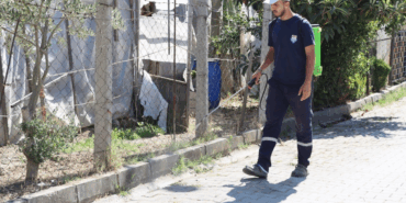 YABANİ OTLAR İLAÇLANARAK KURUTULUYOR