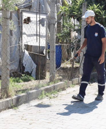 YABANİ OTLAR İLAÇLANARAK KURUTULUYOR