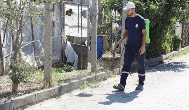 YABANİ OTLAR İLAÇLANARAK KURUTULUYOR 1 YABANİ OTLAR İLAÇLANARAK KURUTULUYOR