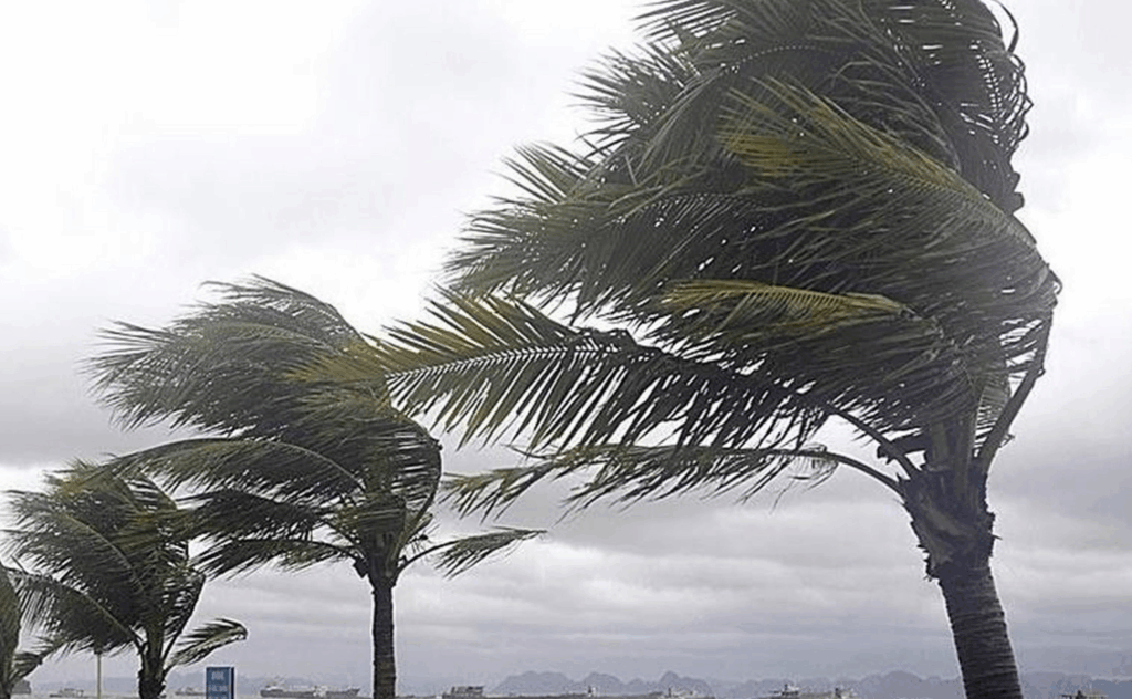 Meteoroloji Uyardı: Yalova’da Rüzgar Hızlanıyor, Sıcaklıklar Yüksek Seyredecek