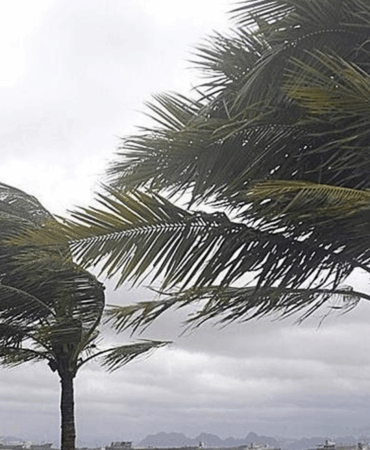 Meteoroloji Uyardı: Yalova’da Rüzgar Hızlanıyor, Sıcaklıklar Yüksek Seyredecek