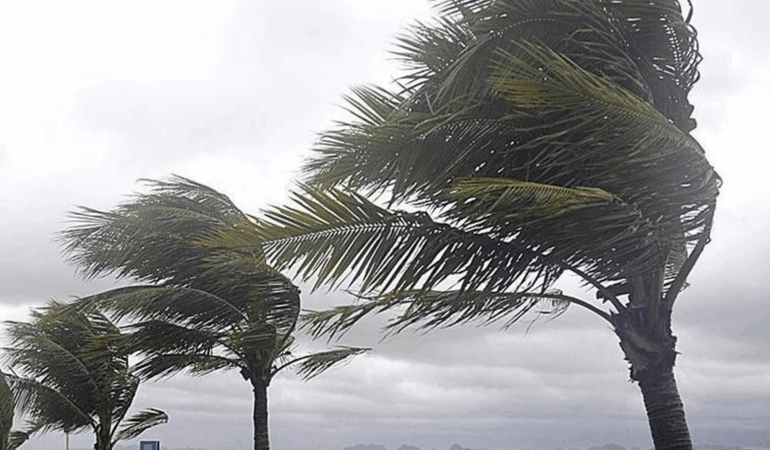 Meteoroloji Uyardı: Yalova’da Rüzgar Hızlanıyor, Sıcaklıklar Yüksek Seyredecek 1 Meteoroloji Uyardı: Yalova’da Rüzgar Hızlanıyor, Sıcaklıklar Yüksek Seyredecek