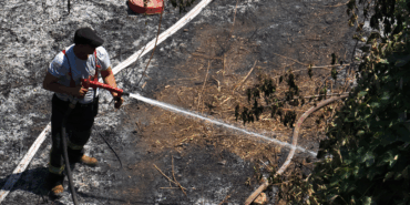 Yalova’da Orman Yangını Büyümeden Söndürüldü
