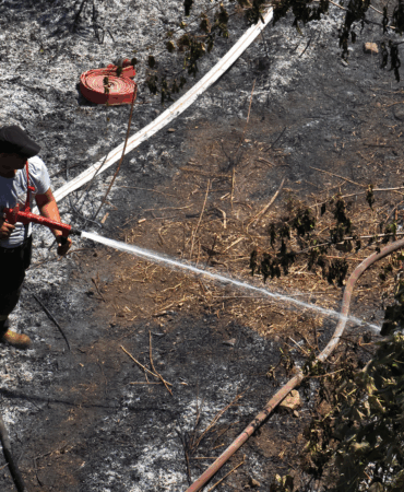 Yalova’da Orman Yangını Büyümeden Söndürüldü