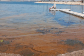 Yalova’da Denize Kimyasal Sızıntı: Temizlik Çalışmaları Başlatıldı, Denize Girmek Yasaklandı 10 Yalova’da Denize Kimyasal Sızıntı: Temizlik Çalışmaları Başlatıldı, Denize Girmek Yasaklandı
