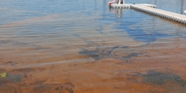 Yalova’da Denize Kimyasal Sızıntı: Temizlik Çalışmaları Başlatıldı, Denize Girmek Yasaklandı
