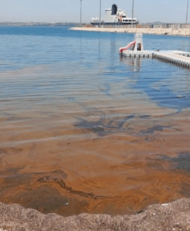 Yalova’da Denize Kimyasal Sızıntı: Temizlik Çalışmaları Başlatıldı, Denize Girmek Yasaklandı