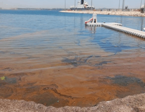 Yalova’da Denize Kimyasal Sızıntı: Temizlik Çalışmaları Başlatıldı, Denize Girmek Yasaklandı 6 Yalova’da Denize Kimyasal Sızıntı: Temizlik Çalışmaları Başlatıldı, Denize Girmek Yasaklandı