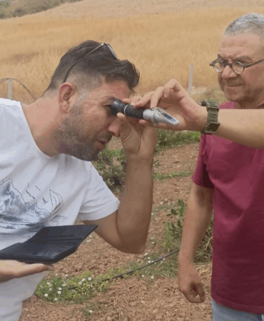 ARONYA ÜRETİCİLERİNE “ERKEN HASAT UYARISI”: BRİX ÖLÇÜMÜ ŞART