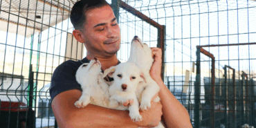 ÇİFTLİKKÖY’DE PATİLİ DOSTLARA TAM DESTEK