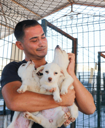 ÇİFTLİKKÖY’DE PATİLİ DOSTLARA TAM DESTEK