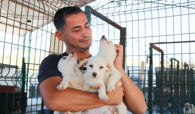 ÇİFTLİKKÖY’DE PATİLİ DOSTLARA TAM DESTEK