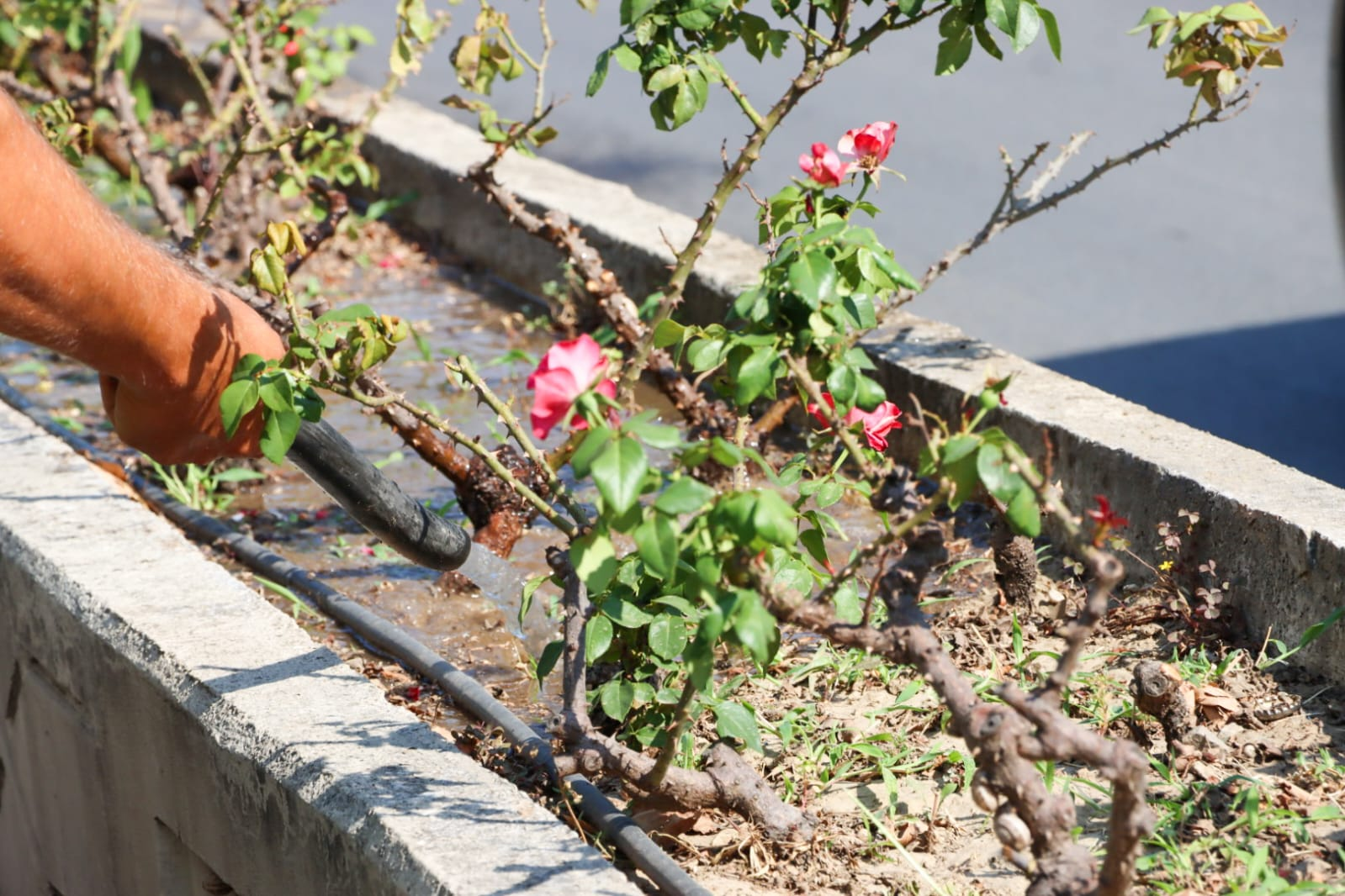 DAHA TEMİZ VE GÜZEL BİR YALOVA İÇİN ÇALIŞMAYA DEVAM