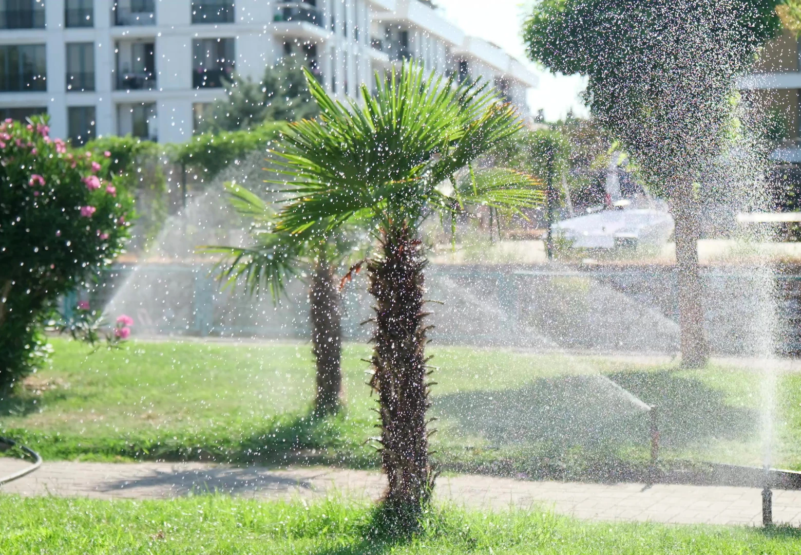 ÇİFTLİKKÖY’DE PEYZAJ ALANLARINA OTOMATİK SULAMA DESTEĞİ 5 ÇİFTLİKKÖY’DE PEYZAJ ALANLARINA OTOMATİK SULAMA DESTEĞİ