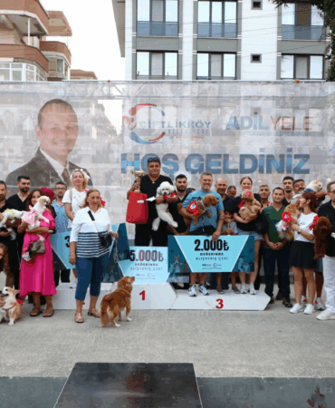 YALOVA’NIN EN GÜZEL KÖPEKLERİ SEÇİLDİ