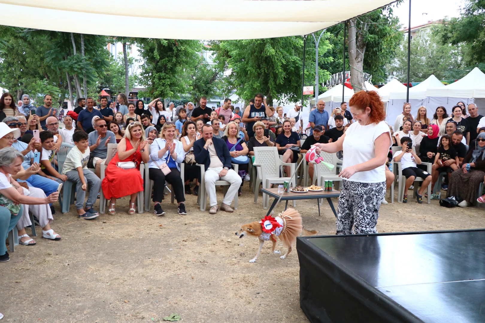 YALOVA’NIN EN GÜZEL KÖPEKLERİ SEÇİLDİ 9 YALOVA’NIN EN GÜZEL KÖPEKLERİ SEÇİLDİ