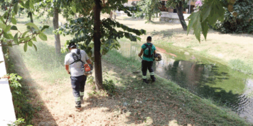 DERE ÇEVRELERİNDE YABANİ OT TEMİZLİĞİ DEVAM EDİYOR